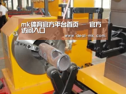 产品名称十四