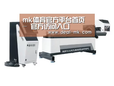 案例展示三