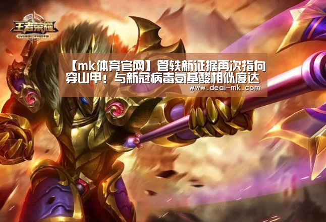 mk体育在线