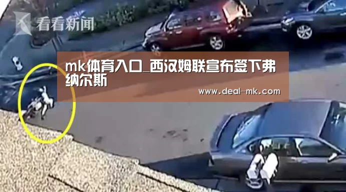mk体育官网